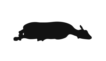 A monochrome graphic of a slaughtered lamb to be used for sin offerings