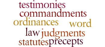 Wordle of the words describing God's Word in Psalm 119